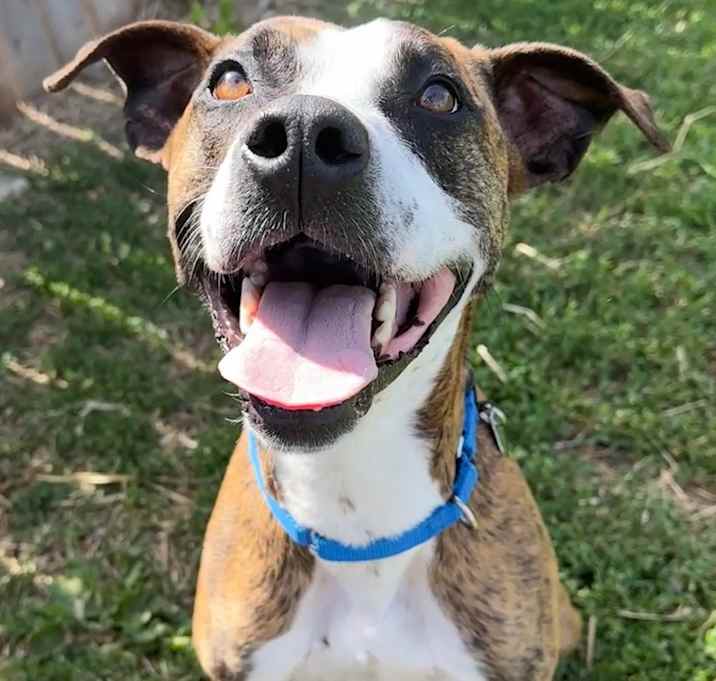 Photo of Ajax