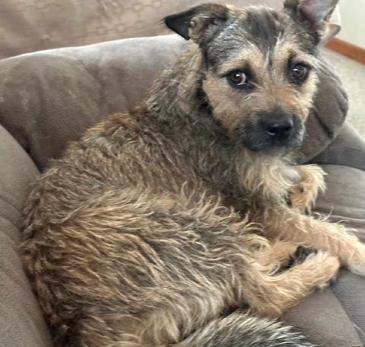 Photo of Tootsie