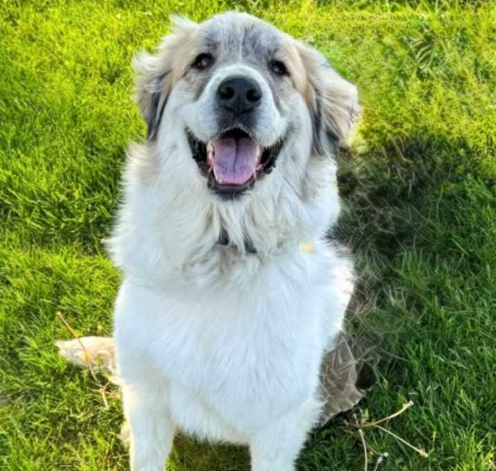Photo of Macy