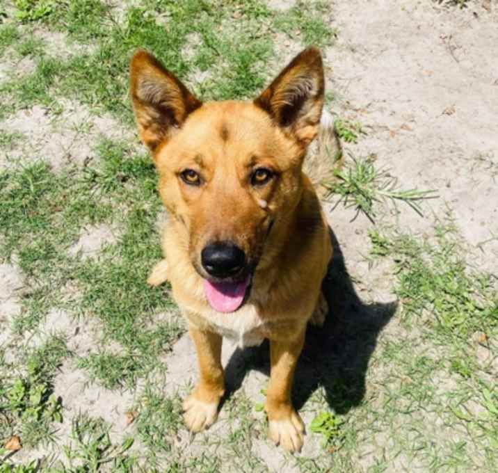 Photo of Gretta