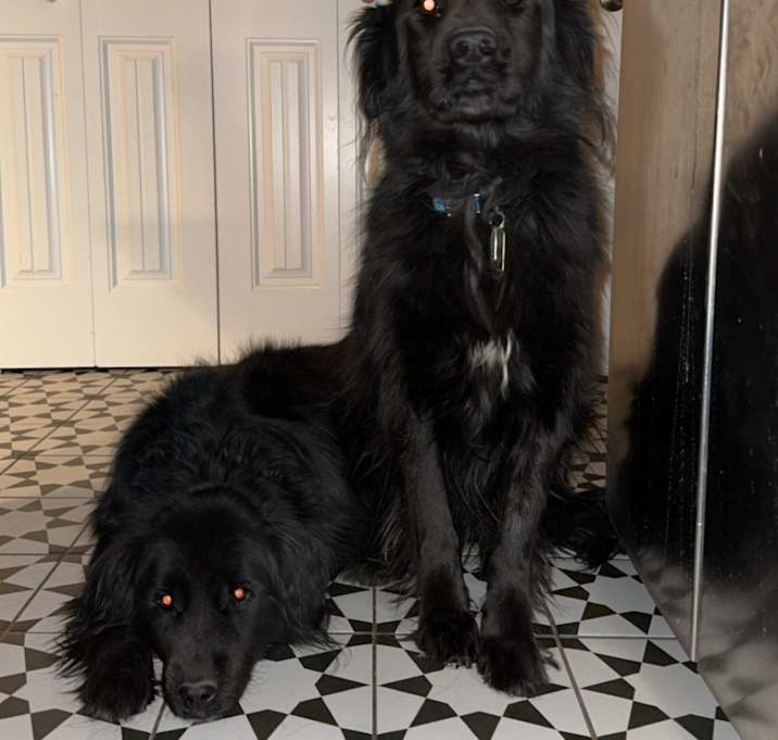 Photo of Hazel and Mazy