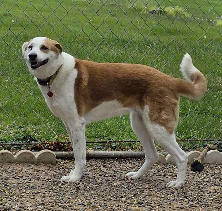 Photo of Jazzlynn