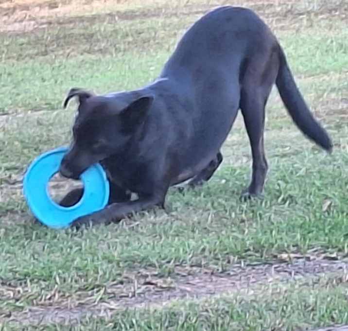 Photo of Sugar