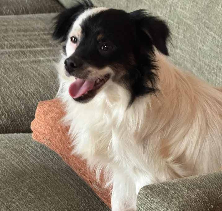 Photo of Wilbur Rufus