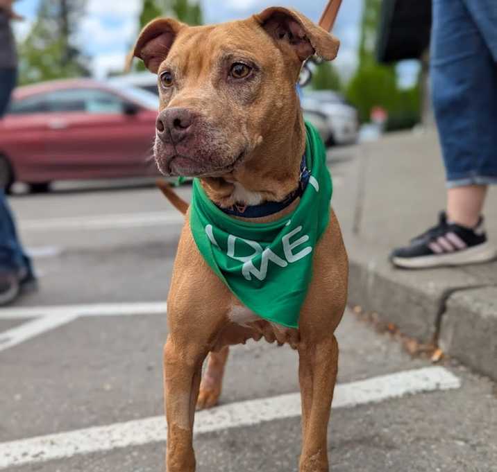 Photo of Ruby