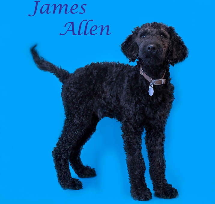 Photo of James Allen D25-086