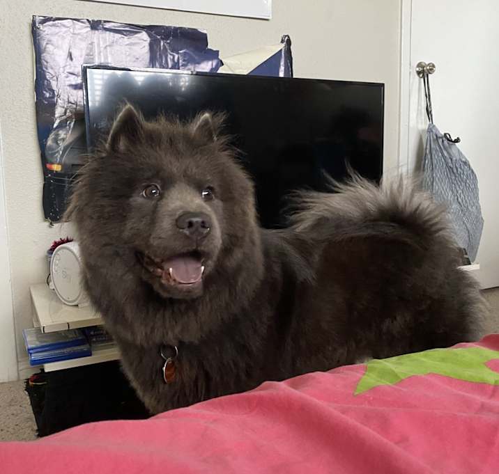 Photo of Yuri