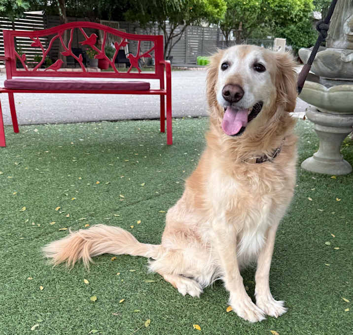 Photo of Mr. Buddy