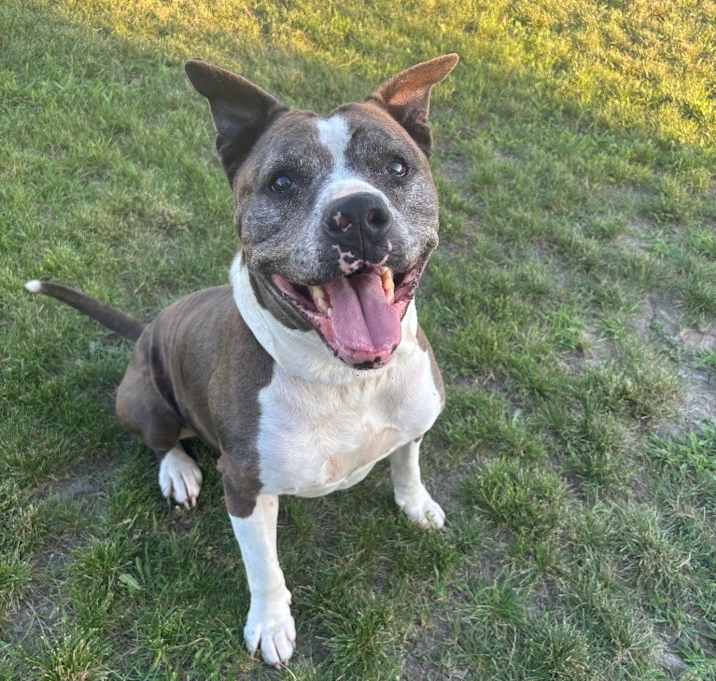 Photo of Zeus