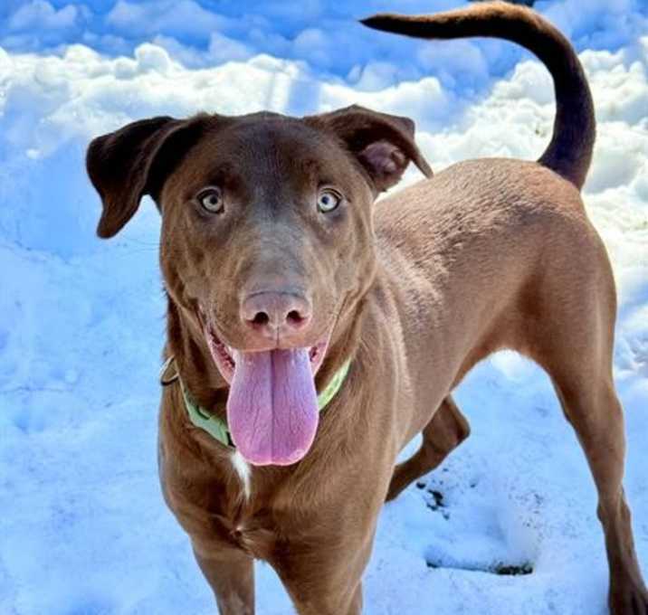 Photo of LUNA