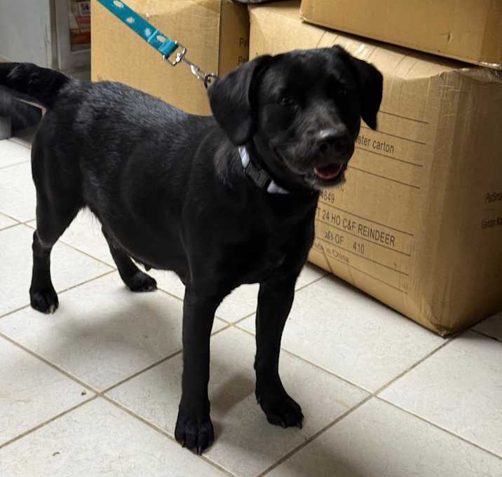 Photo of Millie Mae