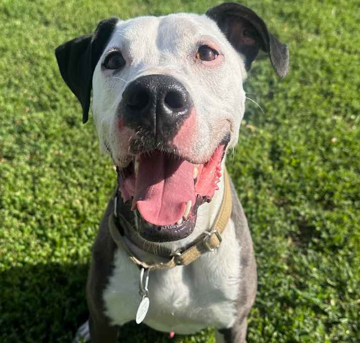 Photo of Bruce