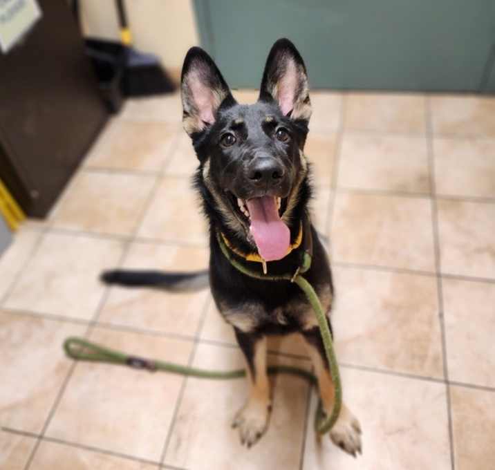 Photo of Marcella (mcas)