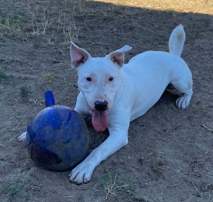 Photo of Zero