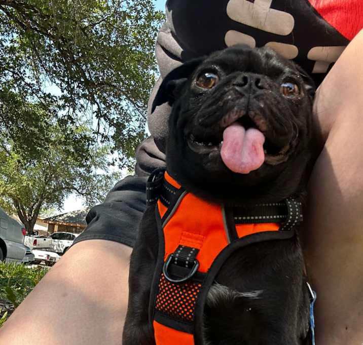Photo of Sushi