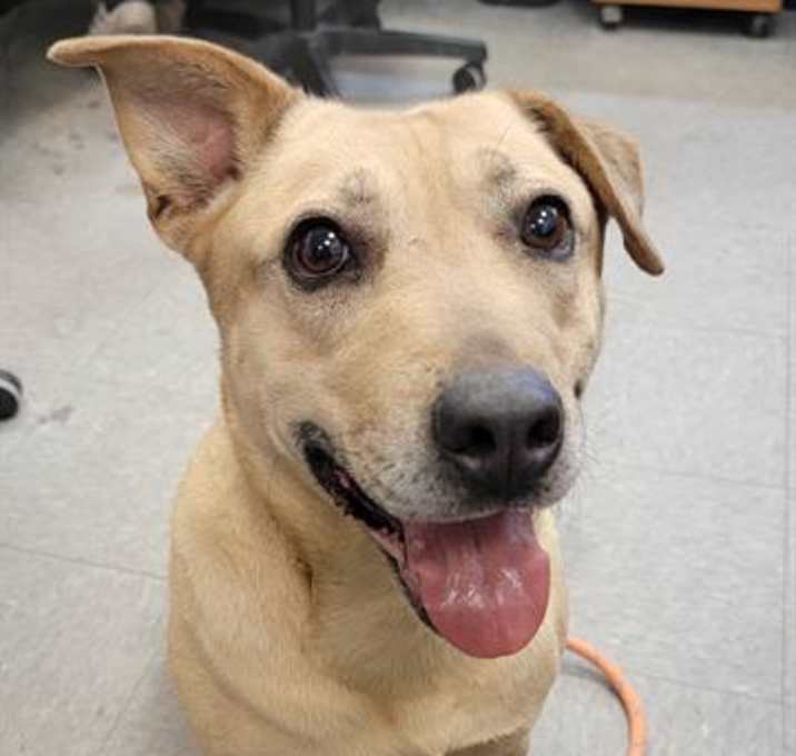 Photo of BETTY