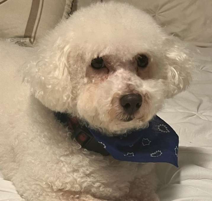 Photo of Winston