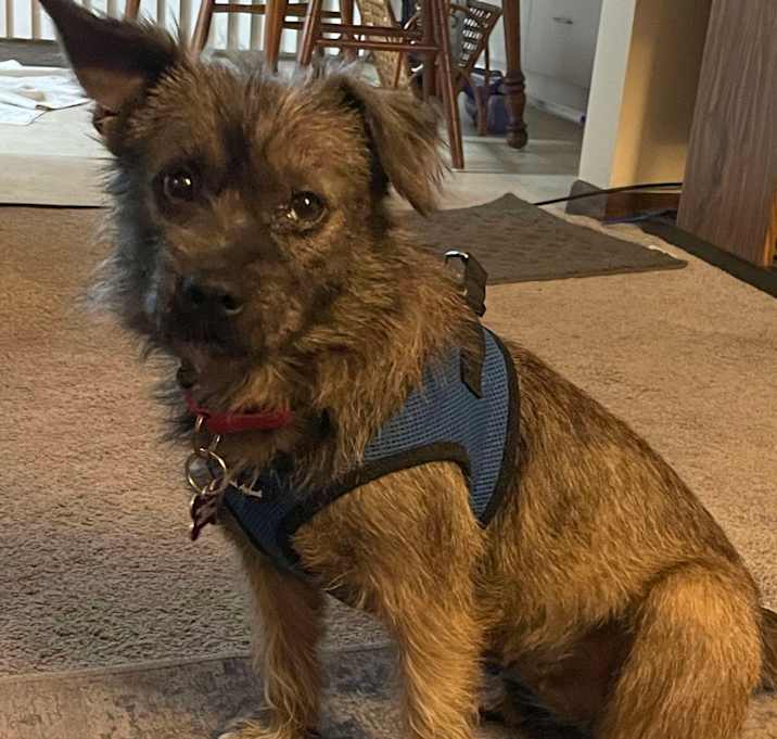 Photo of Missy