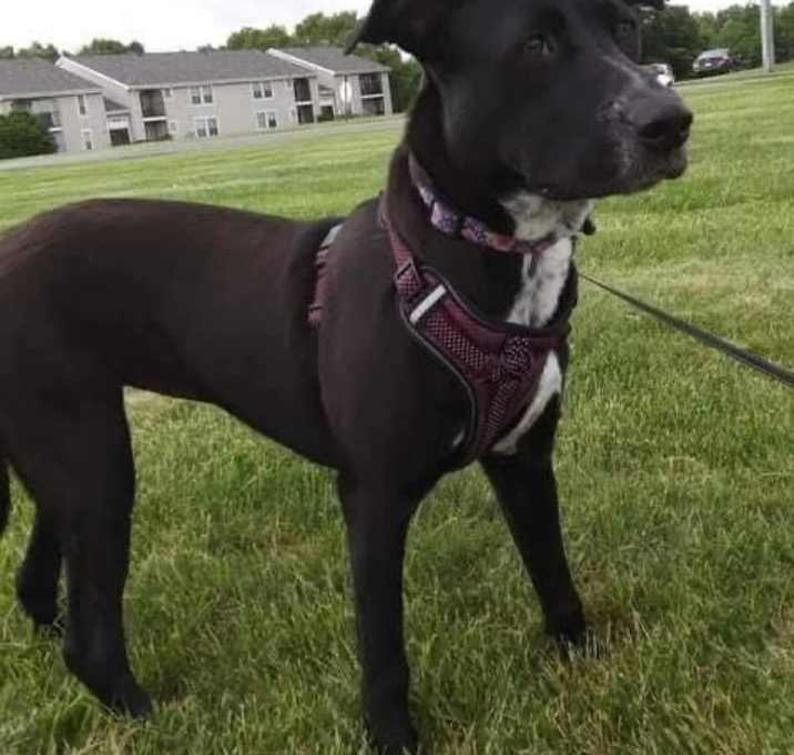 Photo of Athena