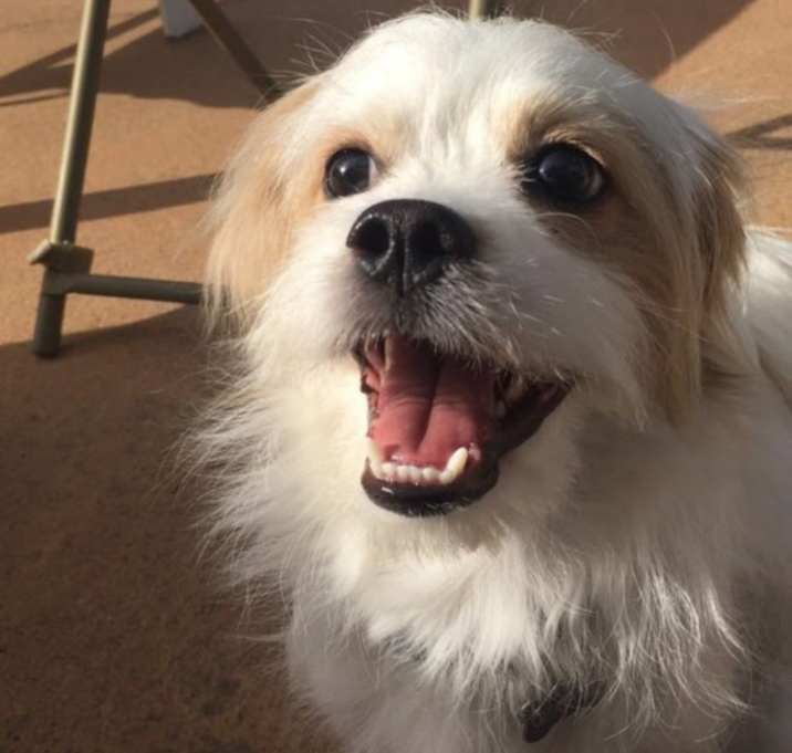 Photo of Charlie