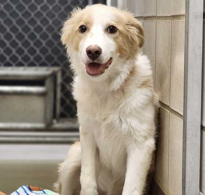Photo of Little Wiggle Butt