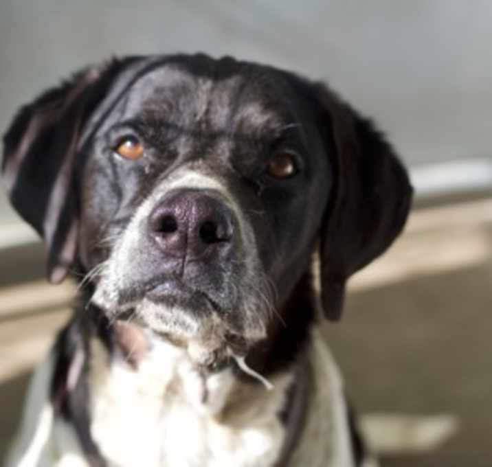 Photo of Jax aka Freeway