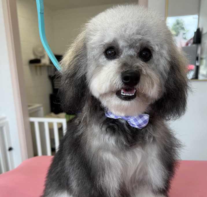 Photo of Belle