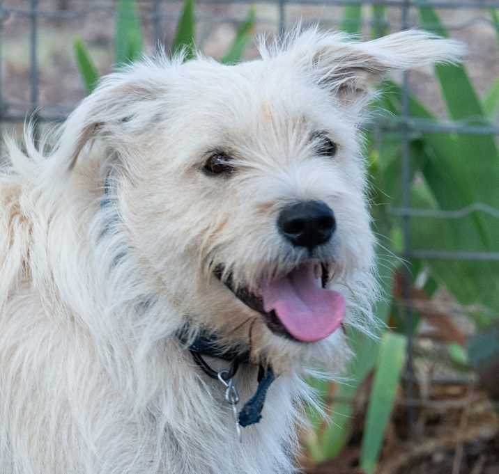 Photo of Titus
