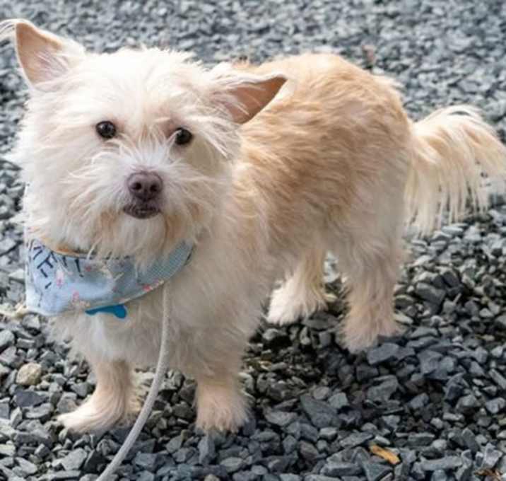 Photo of Bella Star