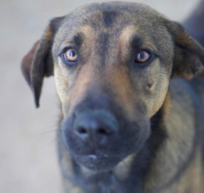 Photo of Tundra