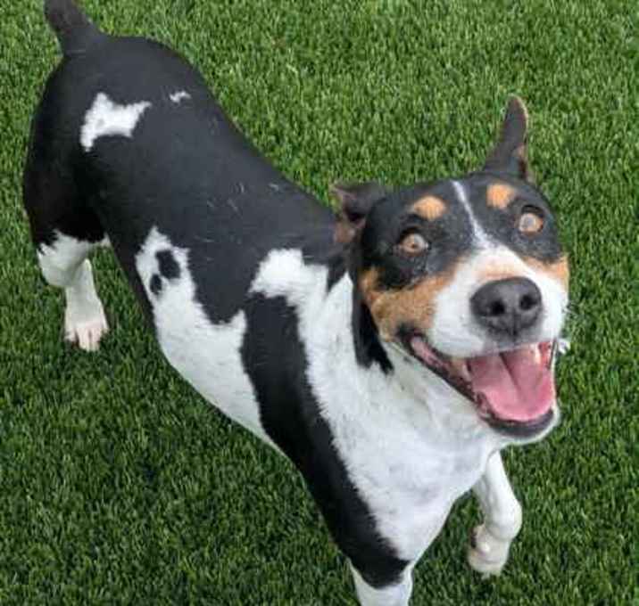 Photo of Penelope