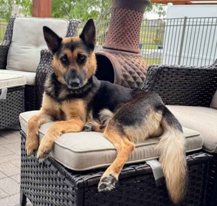 Photo of Maggie