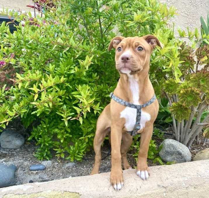 Photo of Sneezy