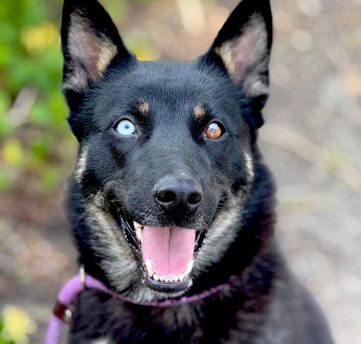 Photo of Lorelai - ECAS