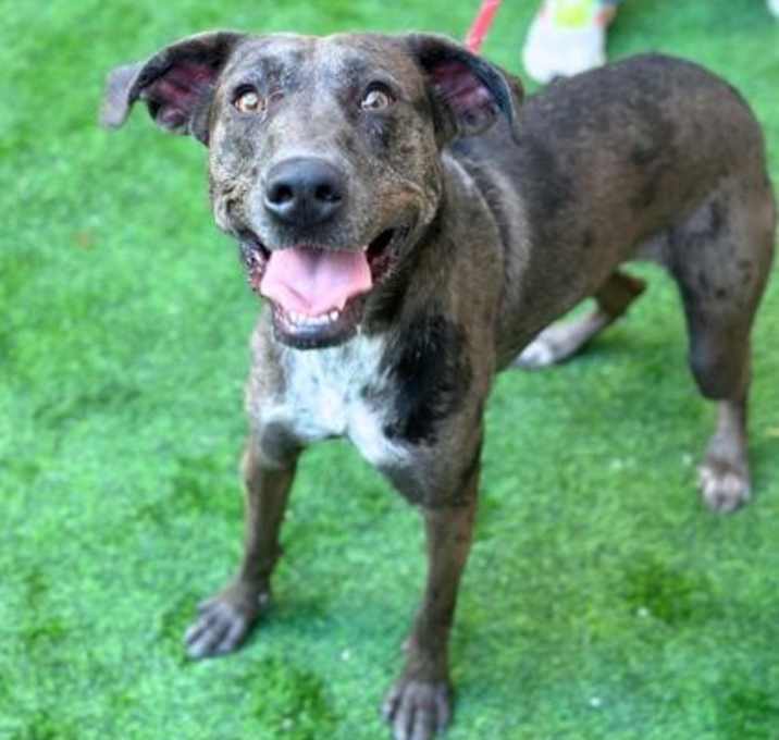 Photo of Coco