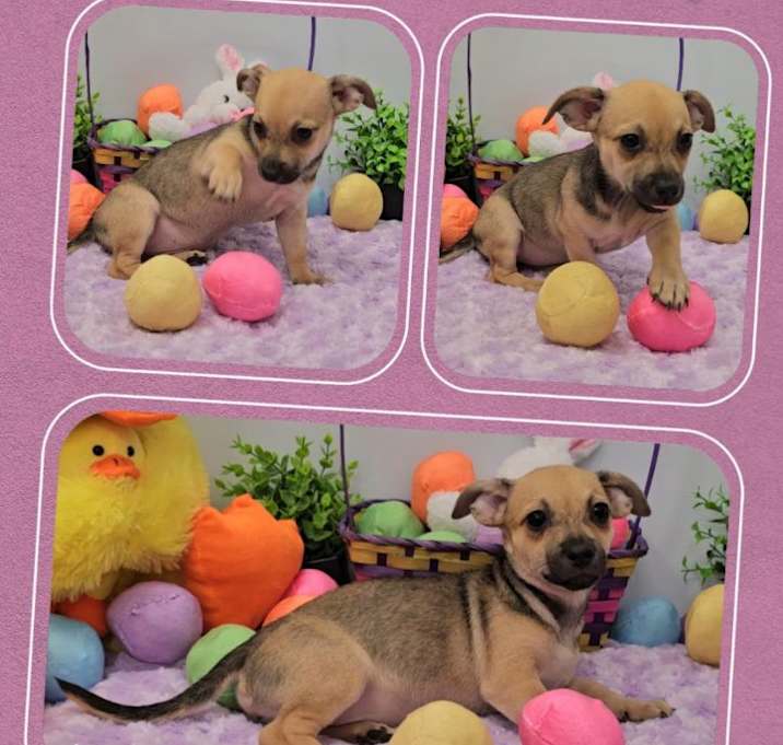 Photo of Lacey Rose