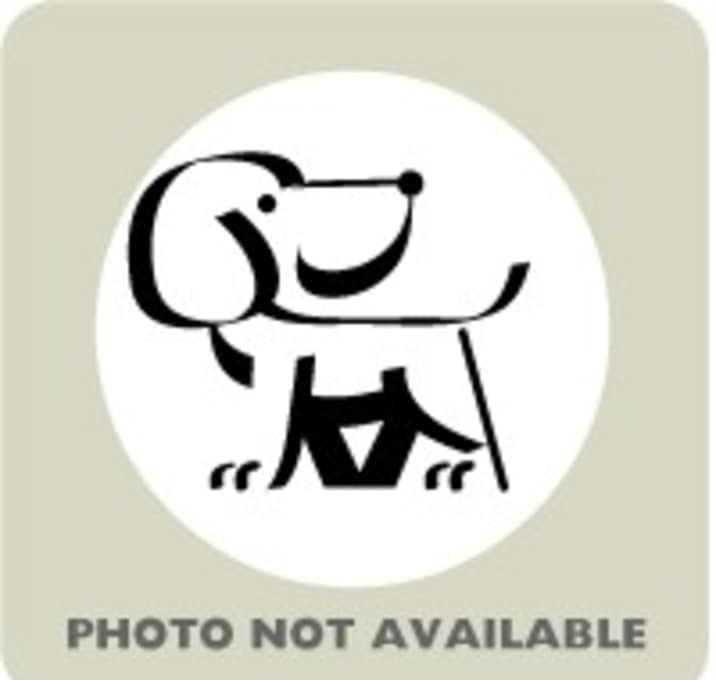 Photo of 57027658