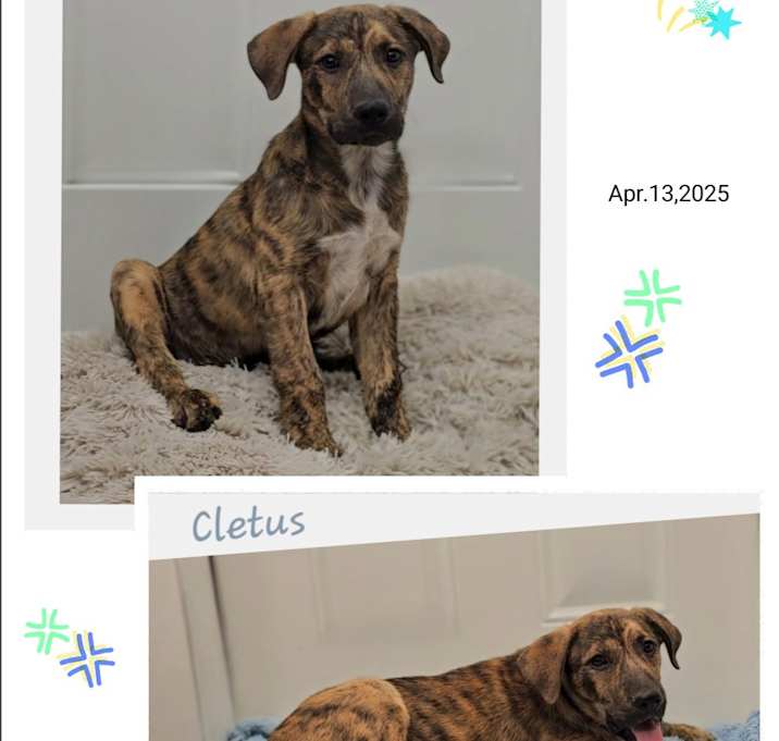 Photo of Cletus