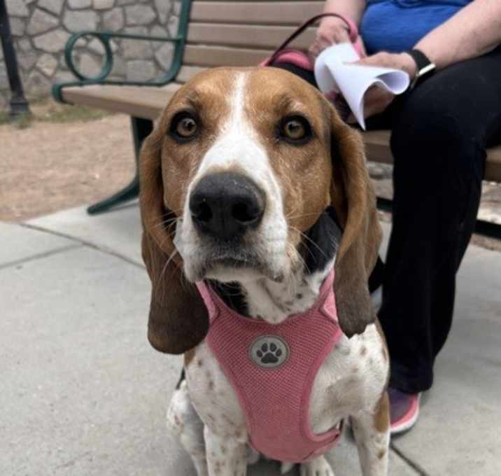 Photo of Molly