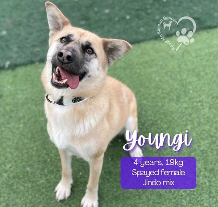 Photo of Youngi