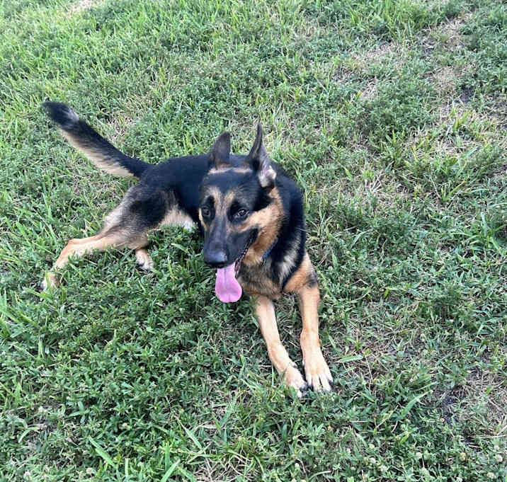Photo of Storm