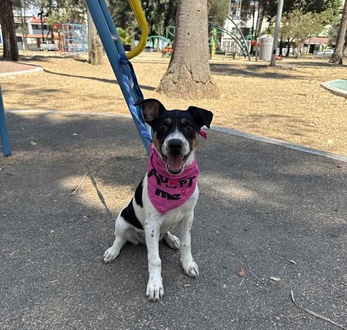 Photo of Maya