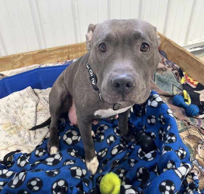 Photo of Momma Chloe