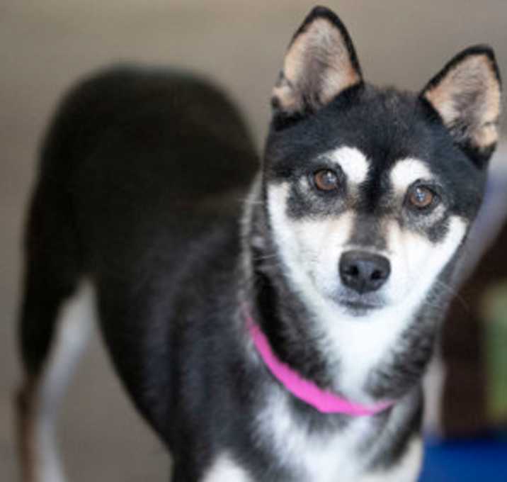 Photo of Jayla