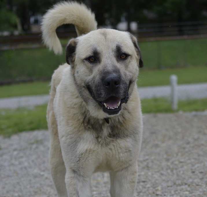 Photo of Titian