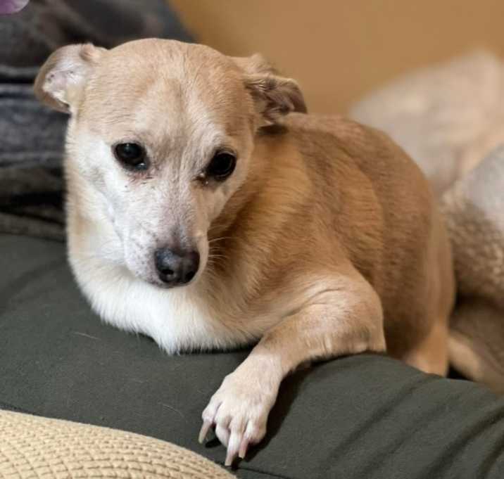Photo of Maggie