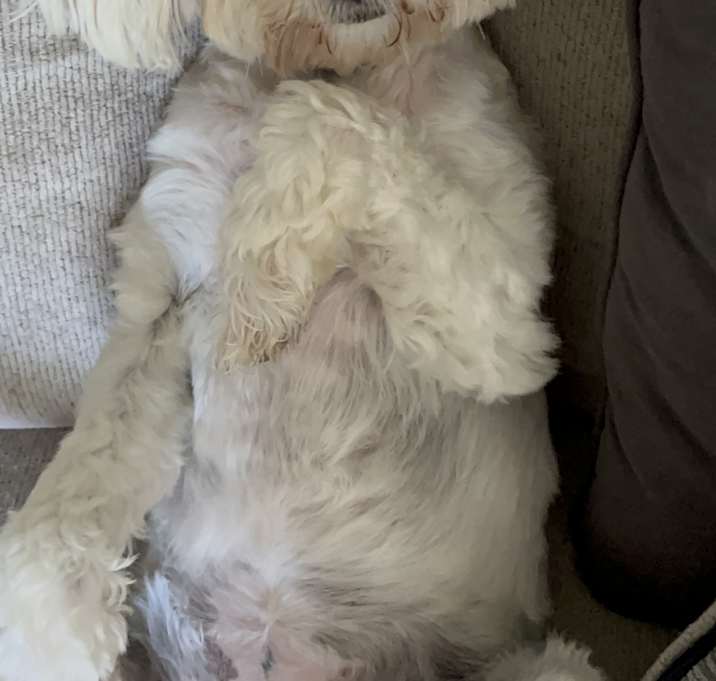 Photo of Molly