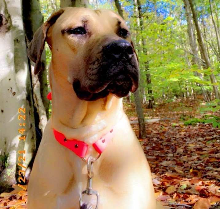 Photo of Roxy