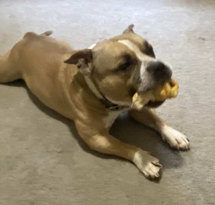Photo of Fatty