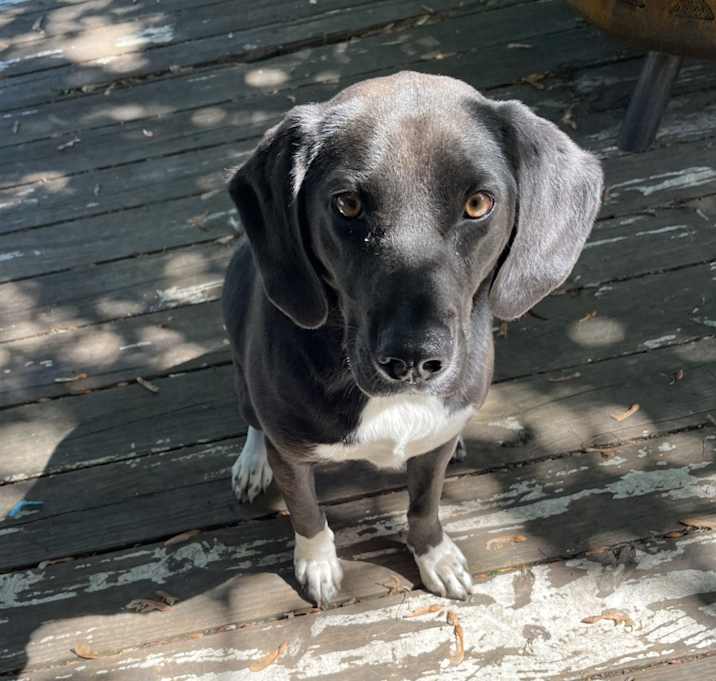 Photo of Maddy